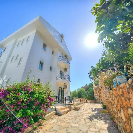 Apartment Paradise 2